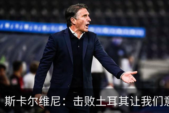 斯卡尔维尼：击败土耳其让我们意识到自身的强大