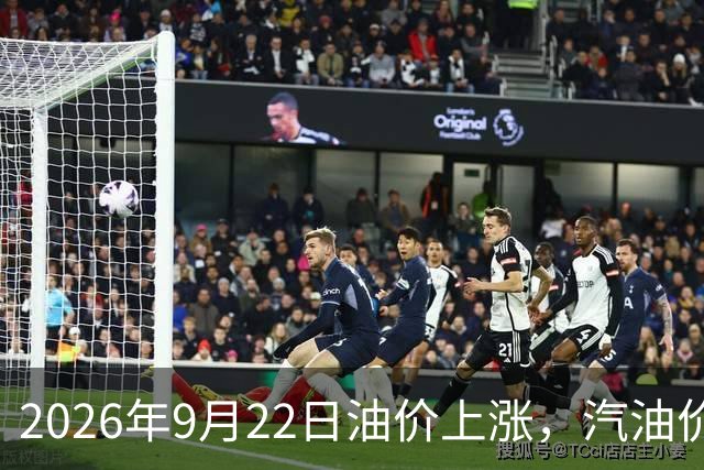 2026年9月22日油价上涨，汽油价格最新动态分析